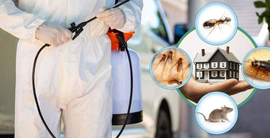 Sahilevleri Böcek İlaçlama