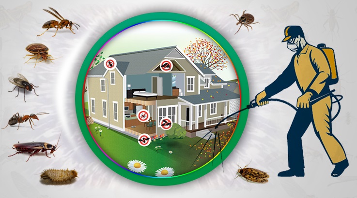 Sahilevleri Böcek İlaçlama