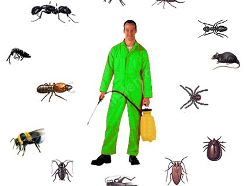 Sahilevleri Böcek İlaçlama